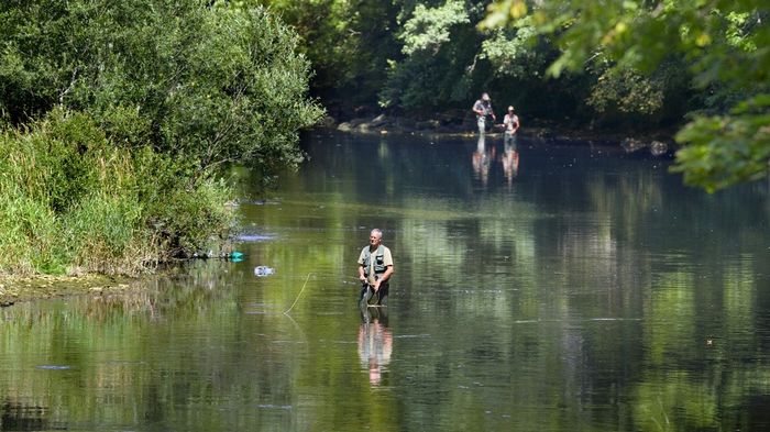 Poissons et rivières suisses, l’agonie