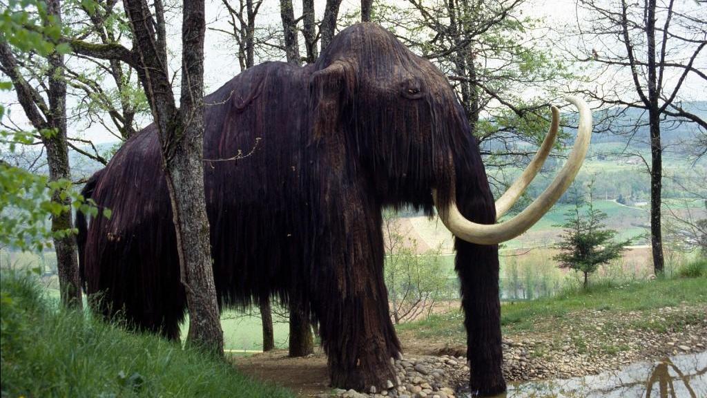 Désextinction: un retour du mammouth?